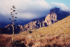 bigbendchisos.jpg